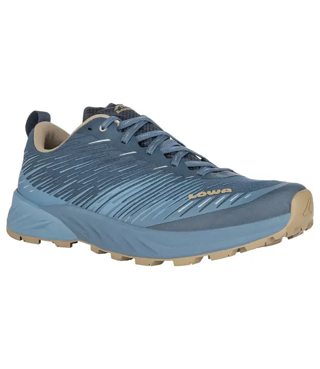 Lowa Men's Amplux Shoes