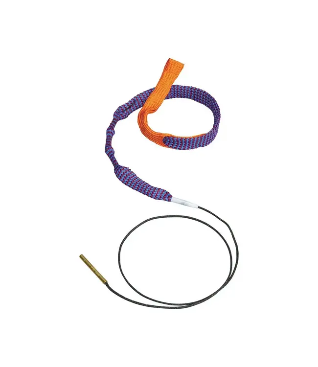 Hoppes .22 Boresnake Viper with Den Pistol