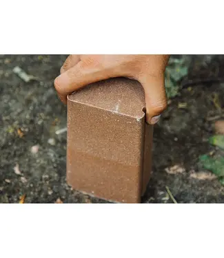 ANI-LOGICS Ani-Logics CRUSH Acorn Brick