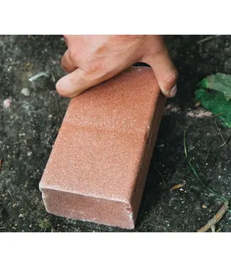 ANI-LOGICS Ani-Logics CRUSH Apple Brick