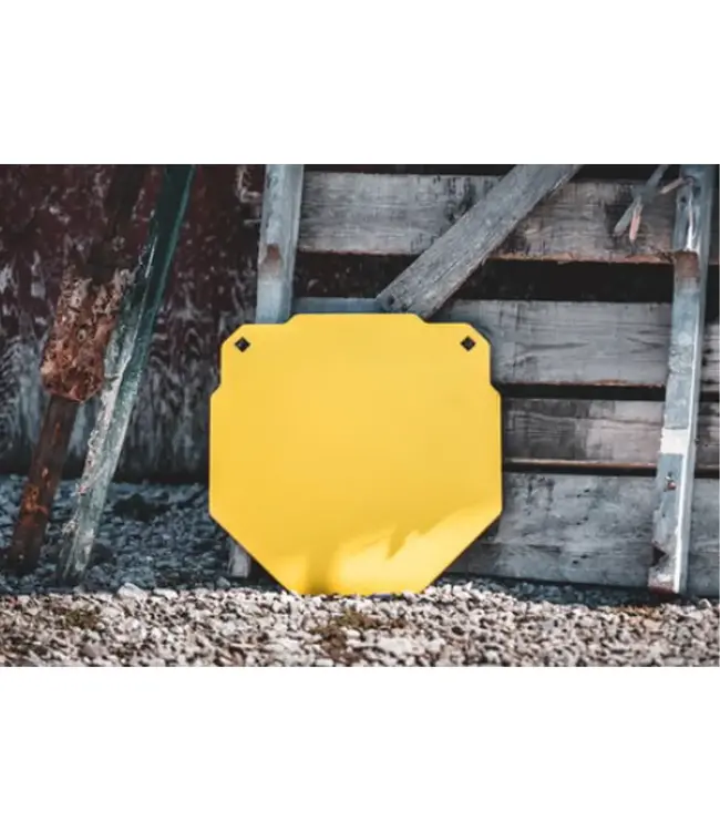 Caldwell AR500 13" Octagon Target