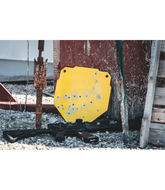 Caldwell AR500 13" Octagon Target