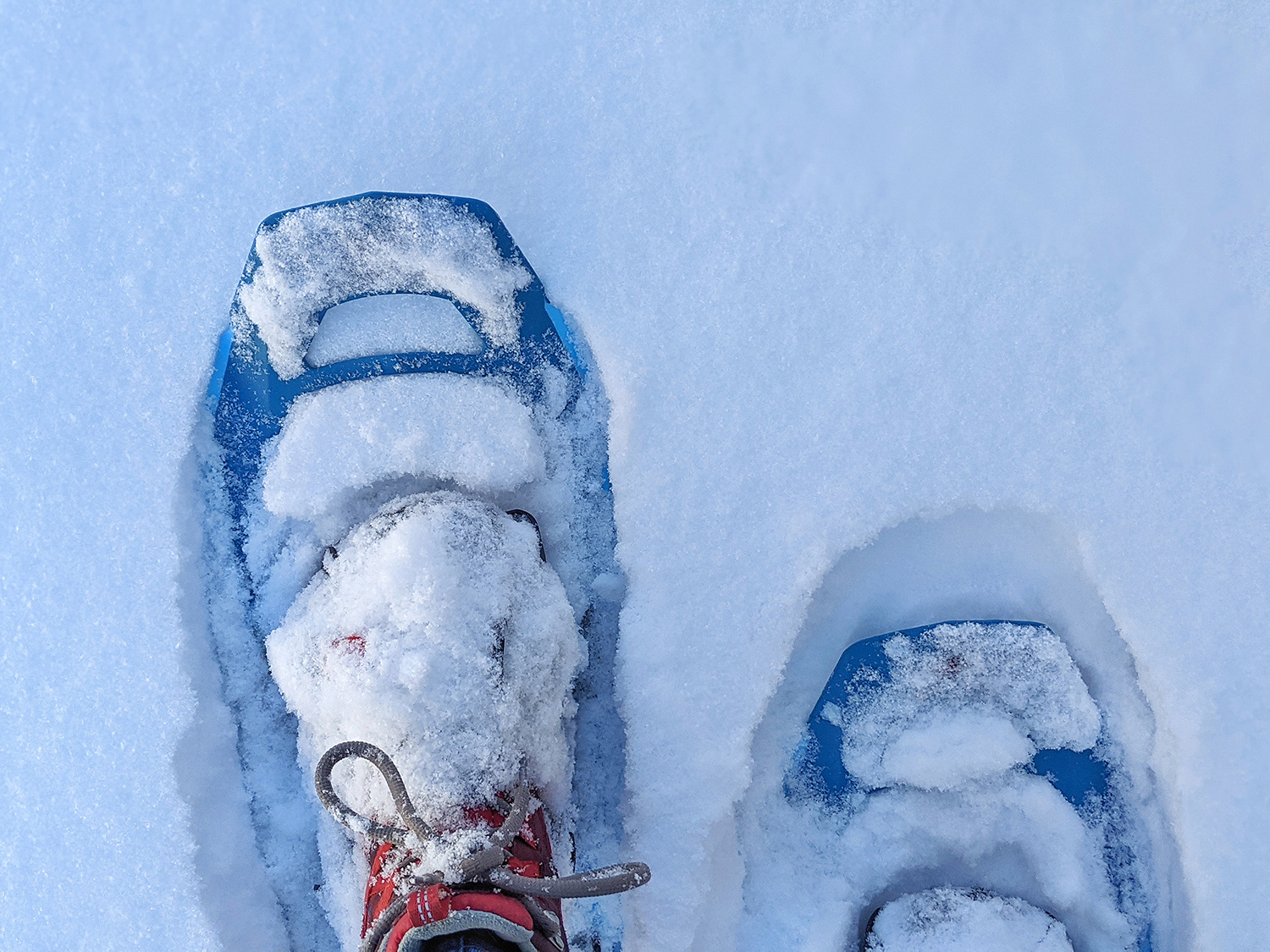 Snowshoes