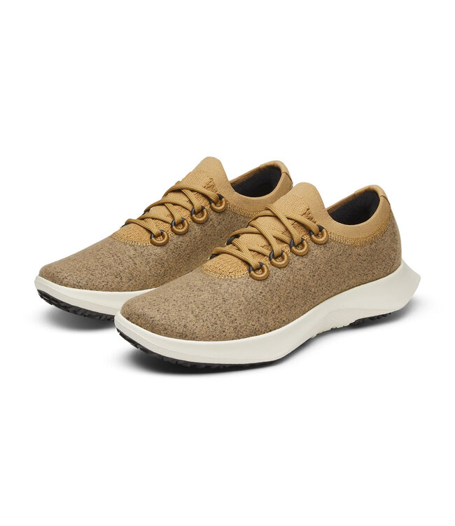 Allbirds Men's Wool Dasher Mizzles