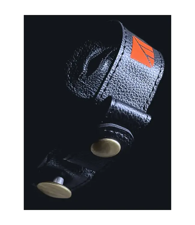 Dark Energy Poseidon Pro Battery