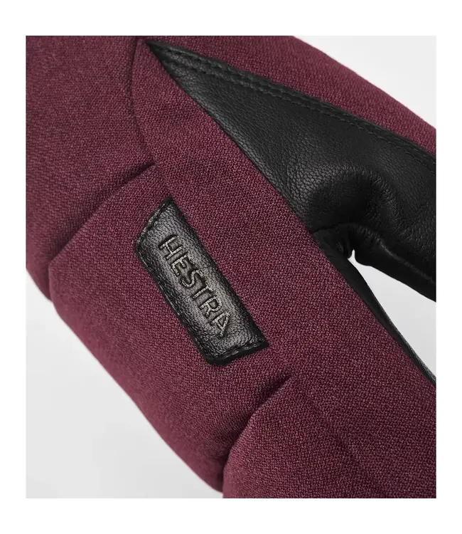 Hestra CZone Frame Mitt