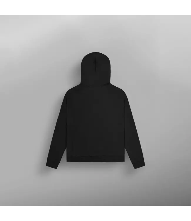 Picture Women's Backwash Tech Hoodie