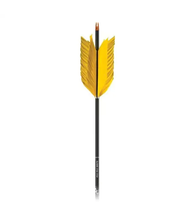 Carbon Express Flu Flu Arrows
