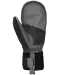 Auclair Men's Quest Mitts