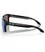 Oakley Holbrook XL Glasses
