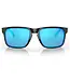 Oakley Holbrook XL Glasses