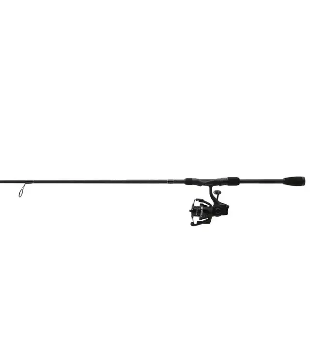 Abu Garcia Max SX Spinning Combo