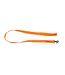 Avery Sporting Goods Standard Leash