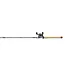 Pflueger President Baitcast Combo