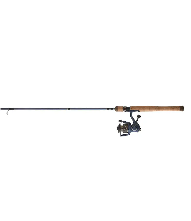 Pflueger President Spinning Combo
