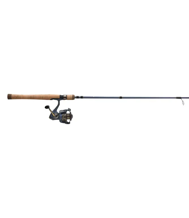 Pflueger President Spinning Combo