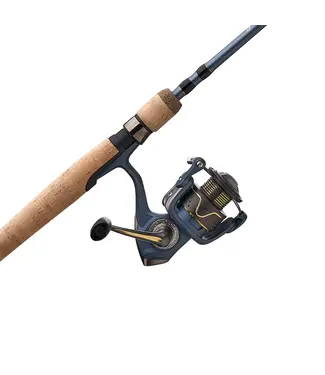 PFLUEGER Pflueger President Spinning Combo