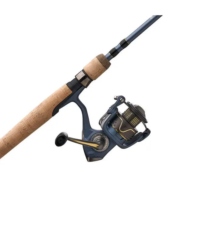 Pflueger President Spinning Combo