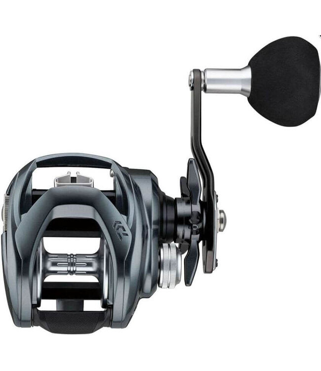 Daiwa Lexa TW Reel