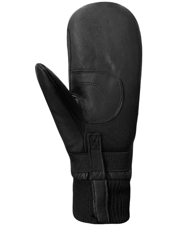 Auclair WWPB Gigatex Mitt