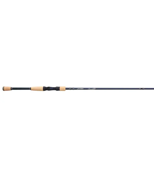 Pflueger President XT Casting Rod