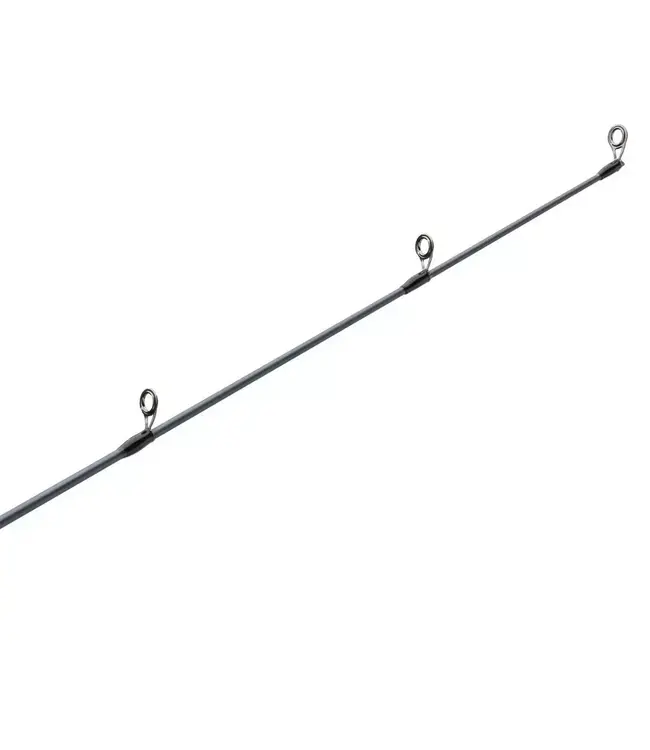 Pflueger President XT Casting Rod