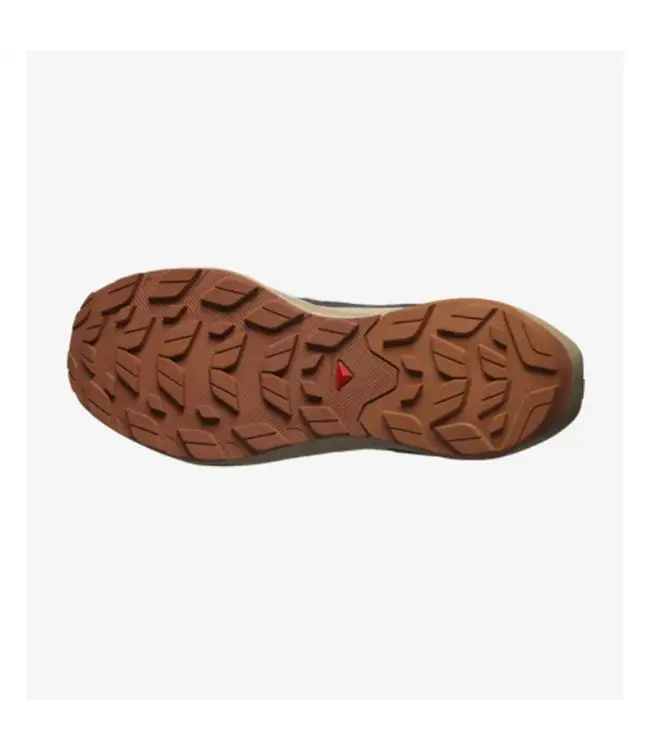 Salomon Men's Elixir Active GORE-TEX Hiking Shoes