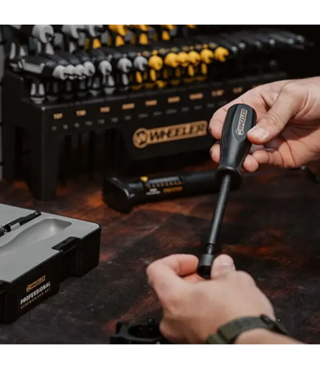 Wheeler 100 Piece Professional Screwdriver Set
