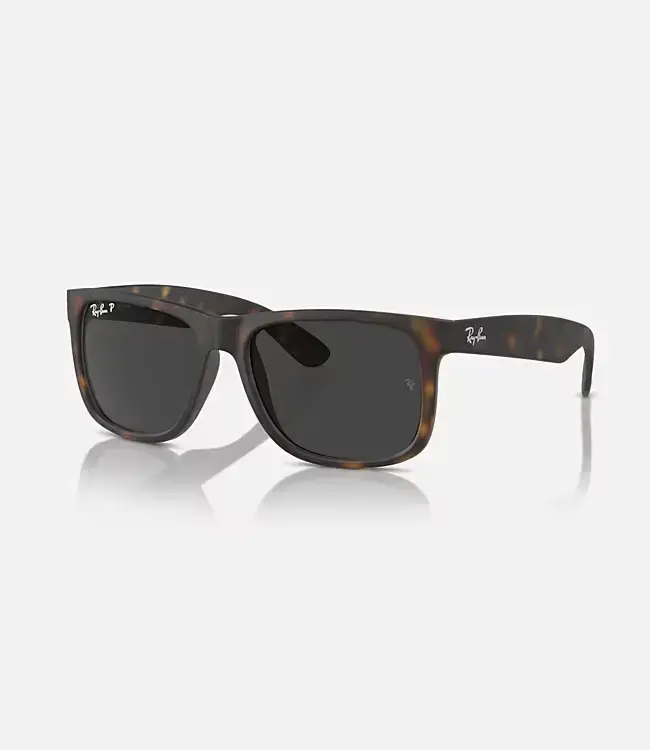 Ray-Ban Justin Classic Sunglasses