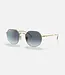 Ray-Ban Jack Sunglasses