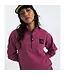 The North Face Women’s Box Half Dome ¼-Zip