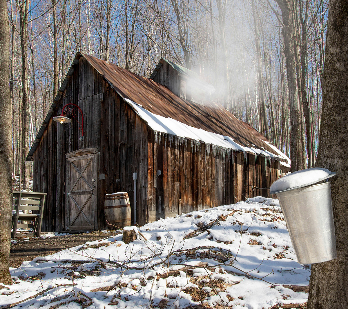 Sugar Shack