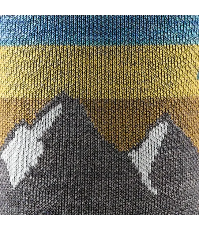 Darn Tough Women's Nature 2-Pack Hiking Socks