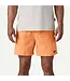 Patagonia Men's Baggies Shorts