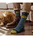 Darn Tough Men's Animal Haus Crew Lightweight Lifestyle Sock