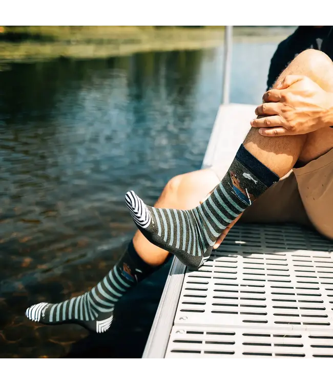 Darn Tough Men's Animal Haus Crew Lightweight Lifestyle Sock