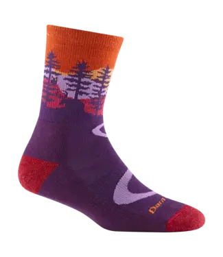 DARN TOUGH Darn Tough Women's Northwoods Micro Crew Midweight Hiking Sock