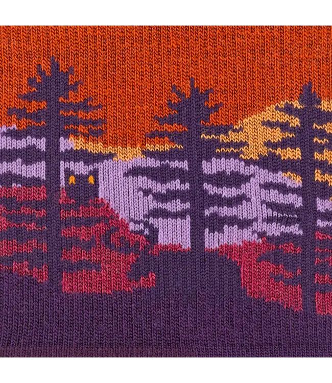 Darn Tough Women's Northwoods Micro Crew Midweight Hiking Sock