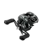 Daiwa 24 Tatula SV 100 Reel