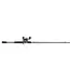 Abu Garcia Zata Baitcast Combo