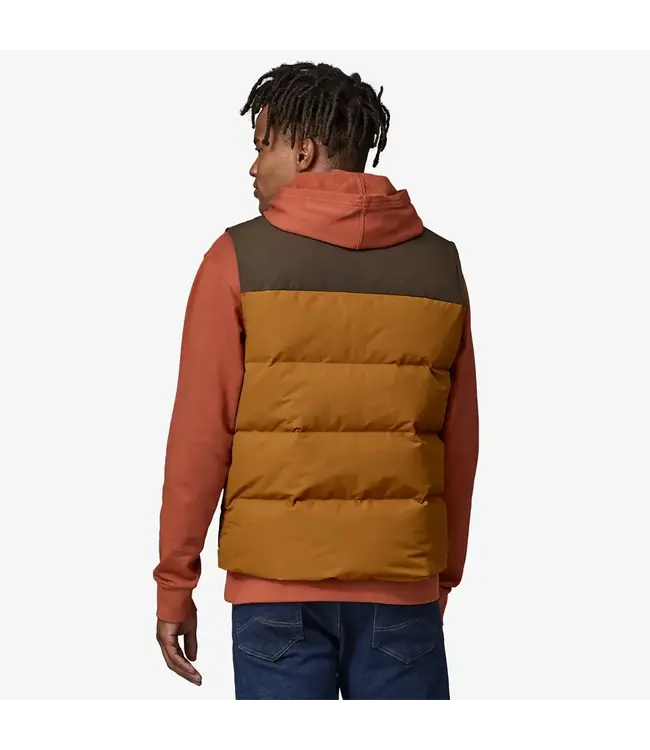 Patagonia Men's Downdrift Vest