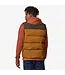 Patagonia Men's Downdrift Vest