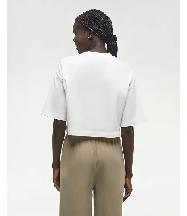 Tentree Women's Emerald Edge Oversized Crop T-Shirt