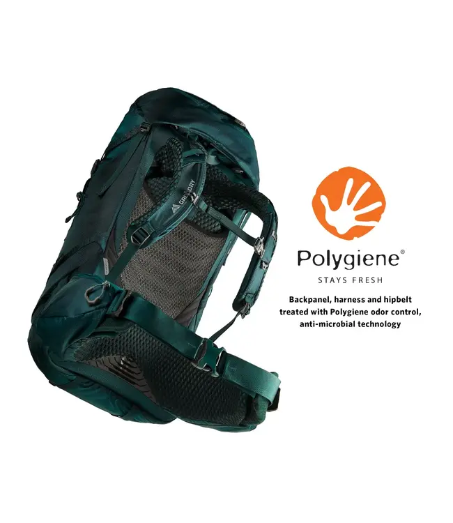 Gregory Deva 60 Backpack