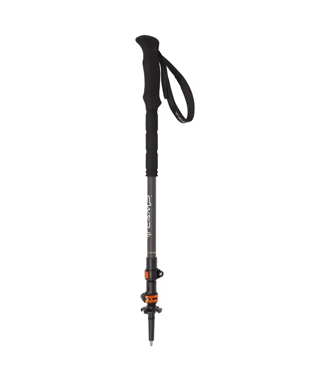 Camp Backcountry Pro 2.0 Pole
