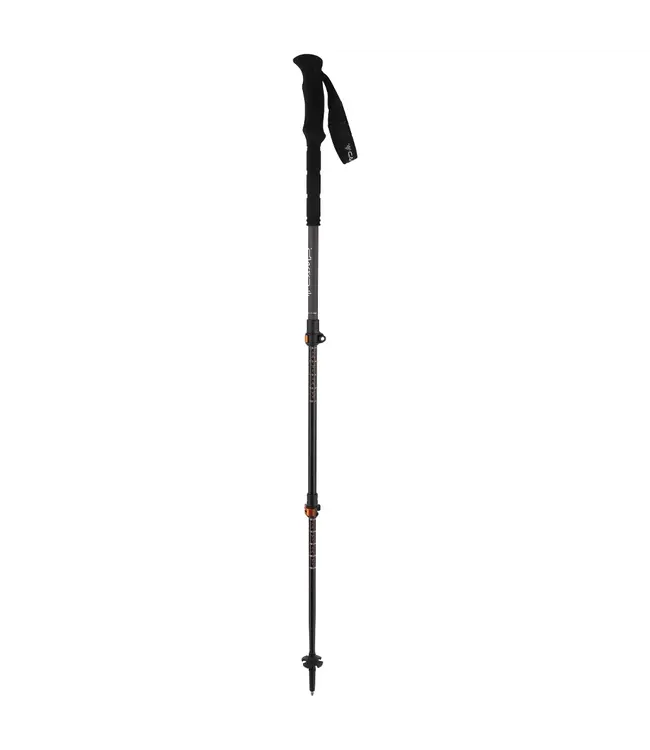 Camp Backcountry Pro 2.0 Pole
