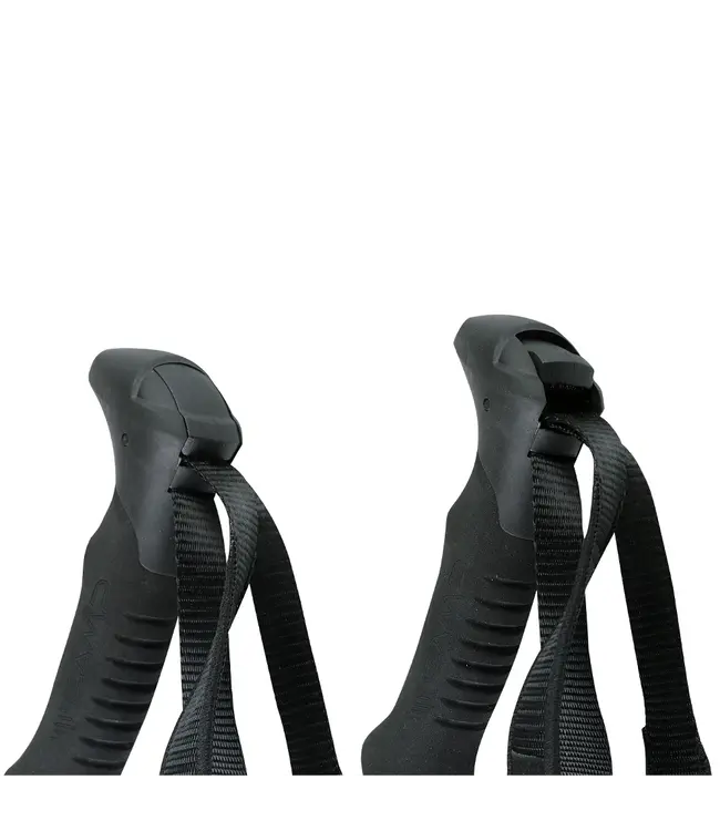 Camp Backcountry Pro 3.0 Pole