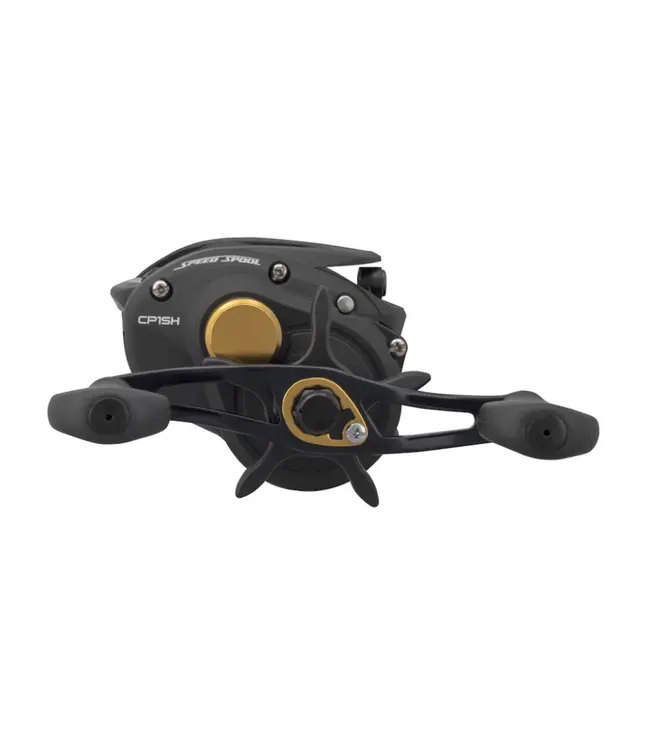 Lew's Classic Pro Baitcast Reel