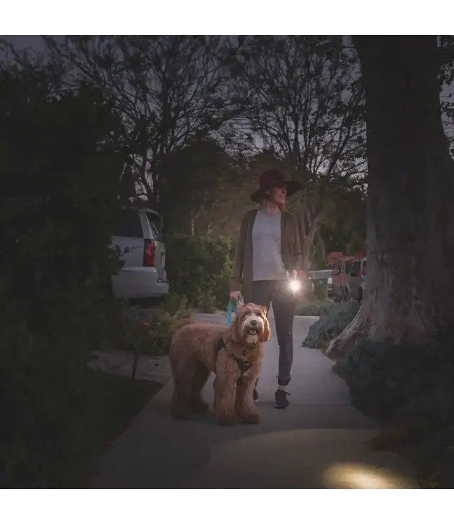 Lux Pro Rechargeable Pro LED Flashlight w/ Power Bank