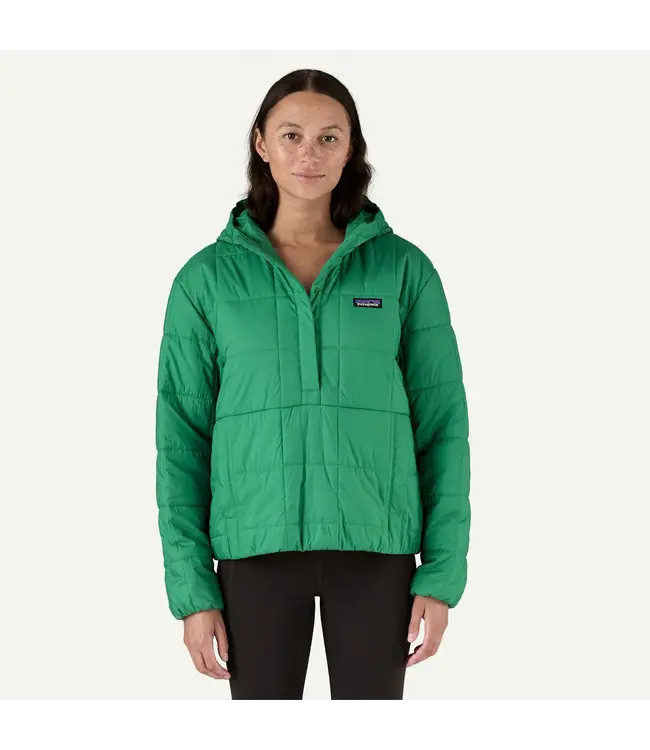 Patagonia Women's Light Gust Hooded Pullover